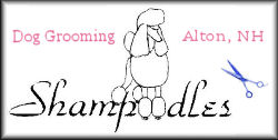 Shampoodles Grooming Studio in New Hampshire
